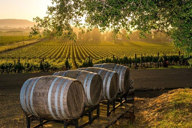 Sip and Savor: The Best Wineries for a Perfect Date in Fredericksburg, Texas